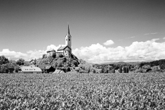 Pfarrkirche Stein in Jauntal