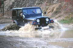 Jeep In The Mud