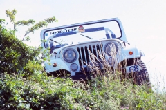 Jeep In The Sun