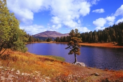 Schwarzsee