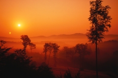 Wienerwald