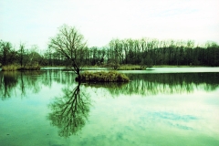 Green Lake