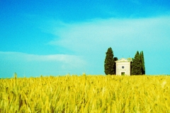 Toscana Field