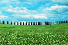 Toscana Dream