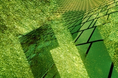 Connetcetd To The People