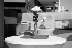 Concrete_Rose