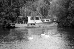 River Of No Return