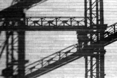 Shadow on the Wall