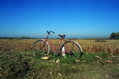 Cornfield-Cycle