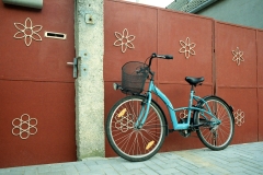 Flowered-Cycle