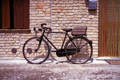 Massimo´s_Cycle
