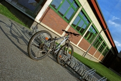 School-Cycle