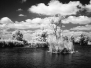 Infrared