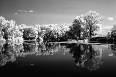 Fisherman´s Dream