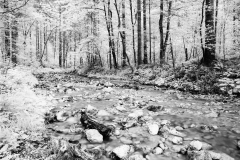 Slow Water