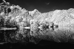 The Sound Of Silence