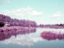 Lomochrome Purple