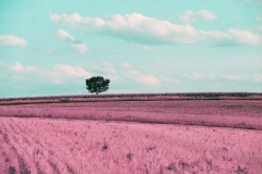 HotDayInJune