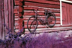 OldFinn_Cycle