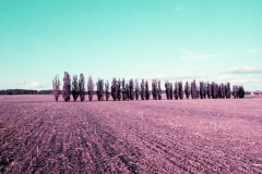 Say_So_Long