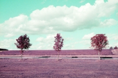 Three_Sisters