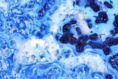 Bubble Dance