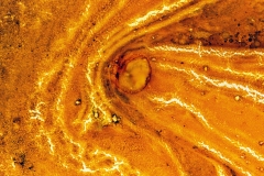 Save Mark Watney