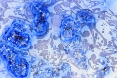 TCell Anomalie