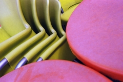 Bicolor