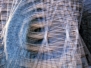 Multiexposure