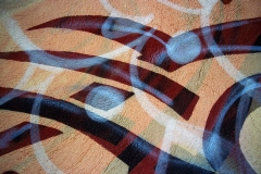 Surfing with the Alien