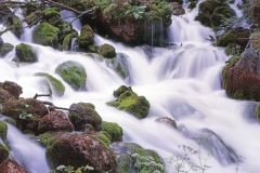 Dance Of The Waterdrops