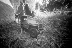Willys