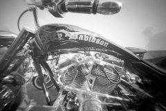 Harley