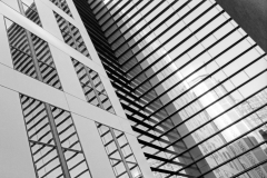 Divided Windows