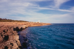 Salinas