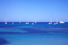 The Blue Sea