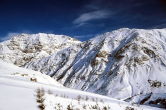 Cold Winter
