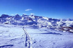 Footsteps