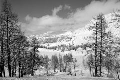 Großsee Tauplitzalm