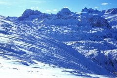 Snowy Freak Of Nature