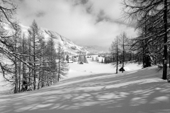 Walking On Tauplitzalm