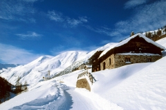 Via Federia
