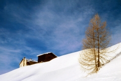 Wintersilence
